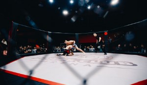 UFC and Francis Ngannou Standoff: Perspectives and Aftermath