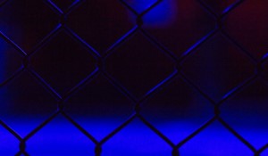 Preview: UFC 302 - A Night of Explosive Action